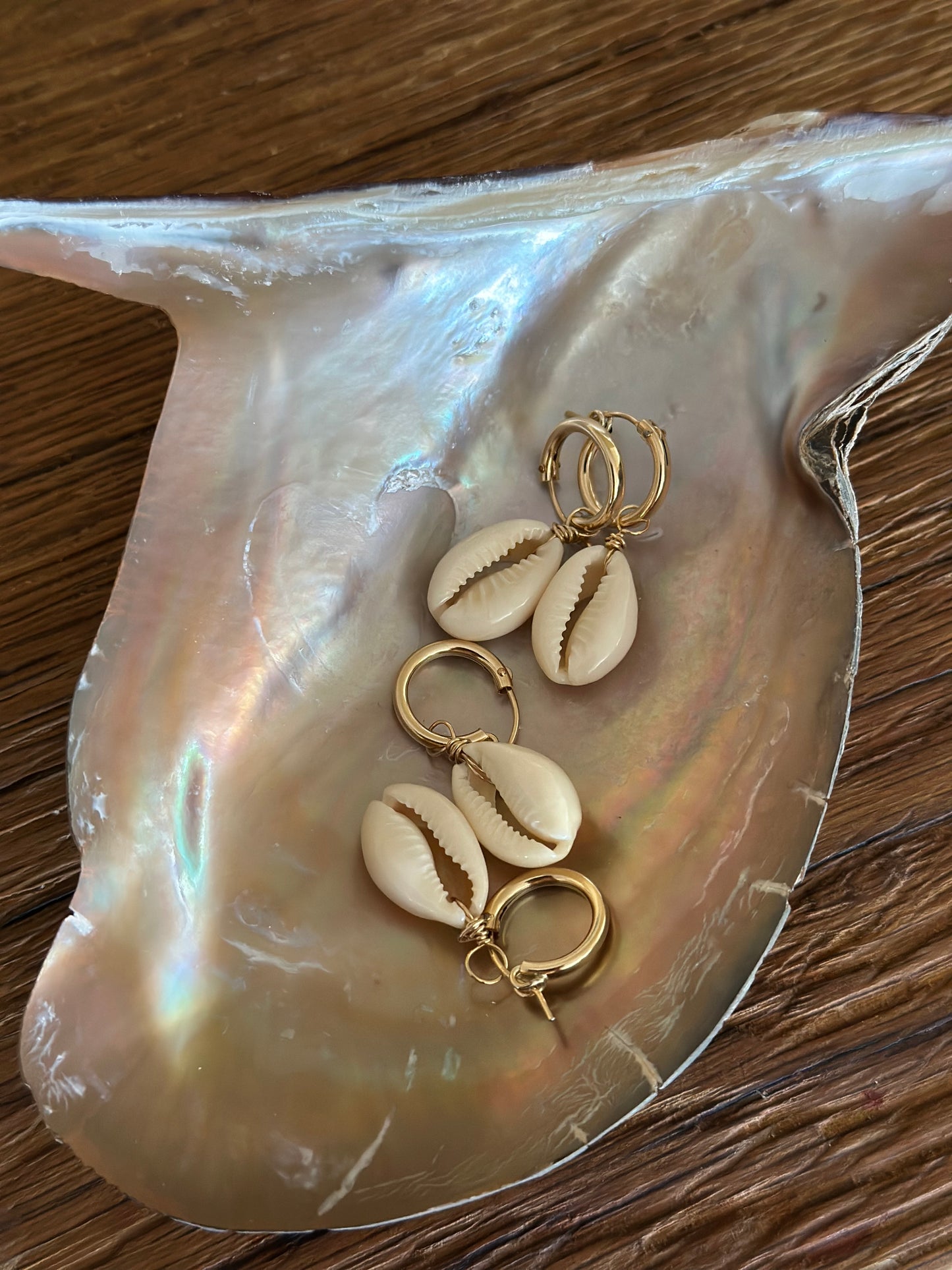 Cowrie Hoops
