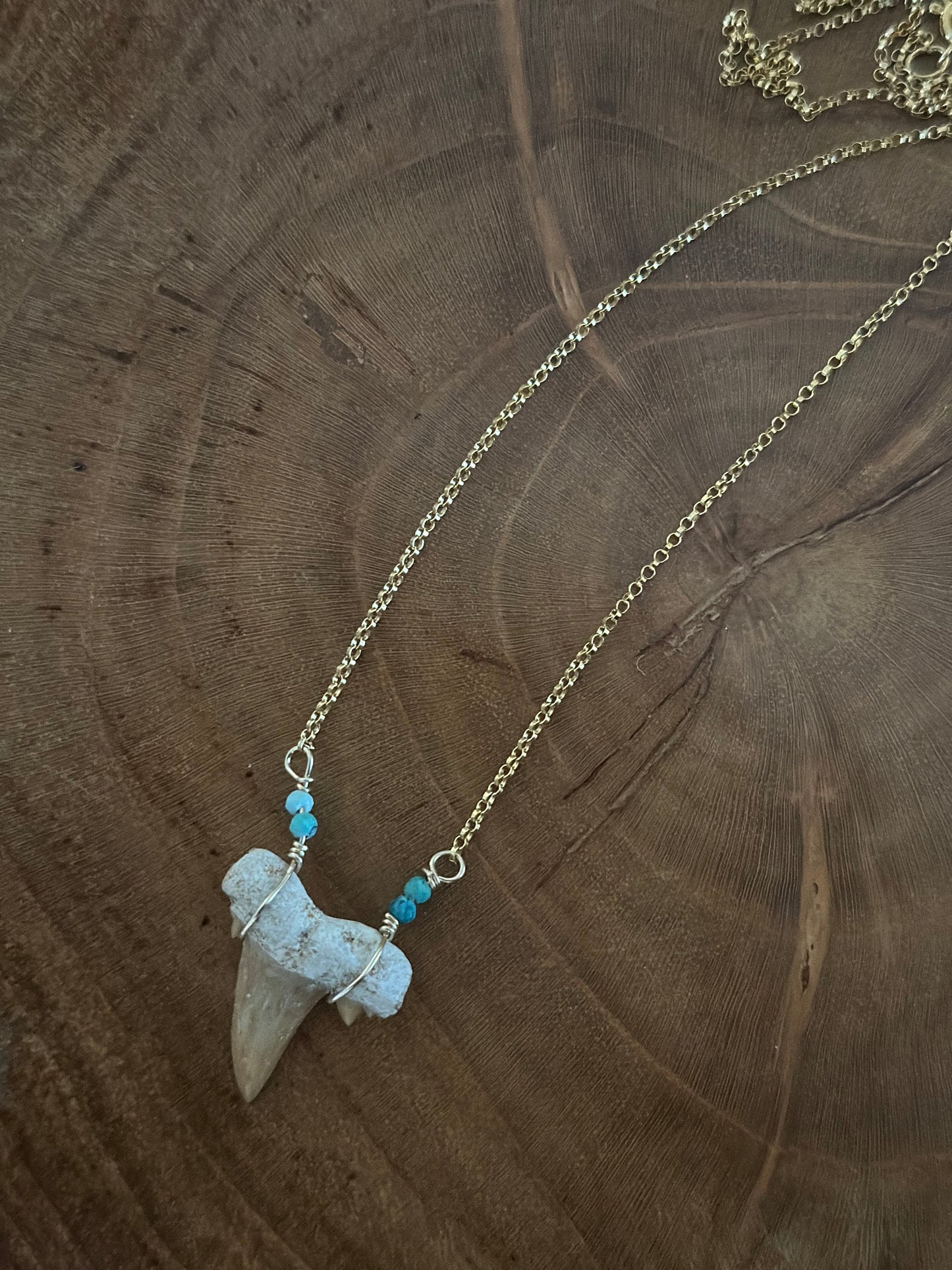 Shark tooth fossil necklace