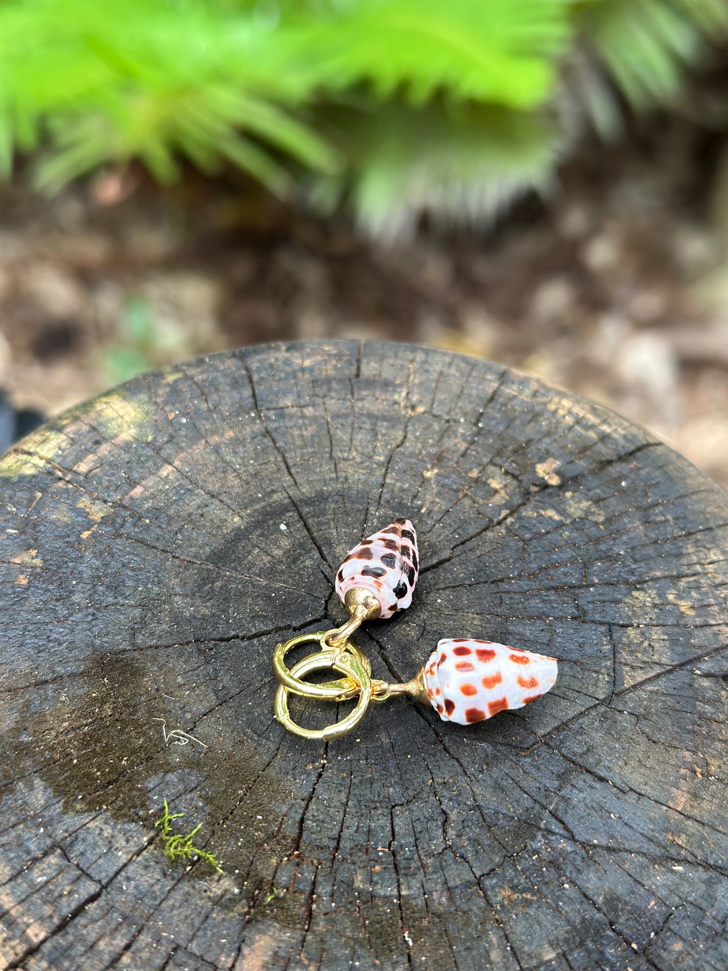 Cone shell earrings