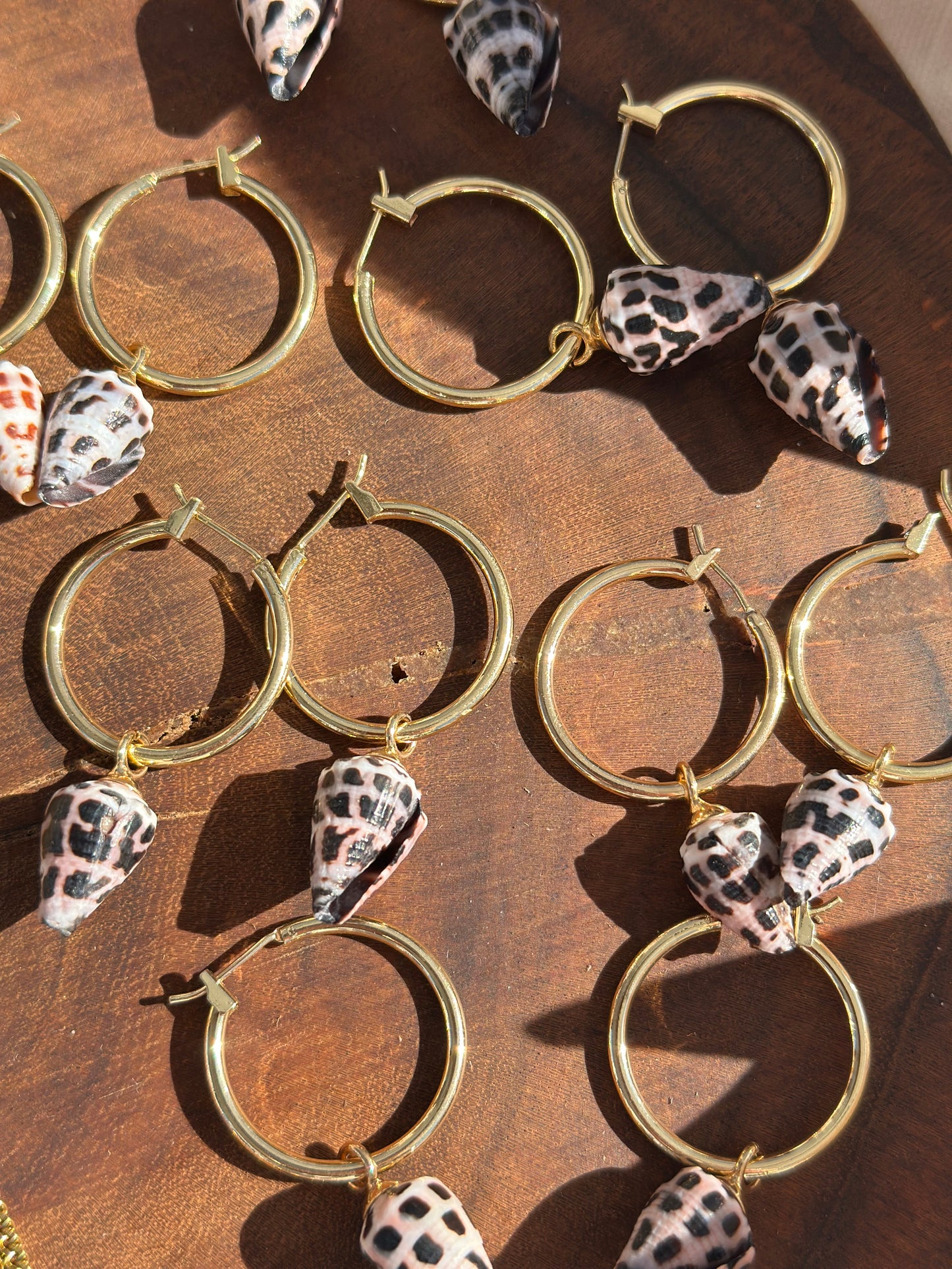 Cone shell earrings