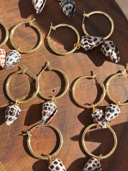 Cone shell earrings