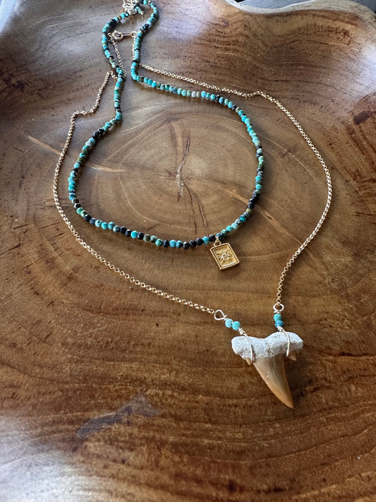 Shark tooth fossil necklace