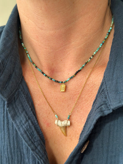 Rising star, turquoise