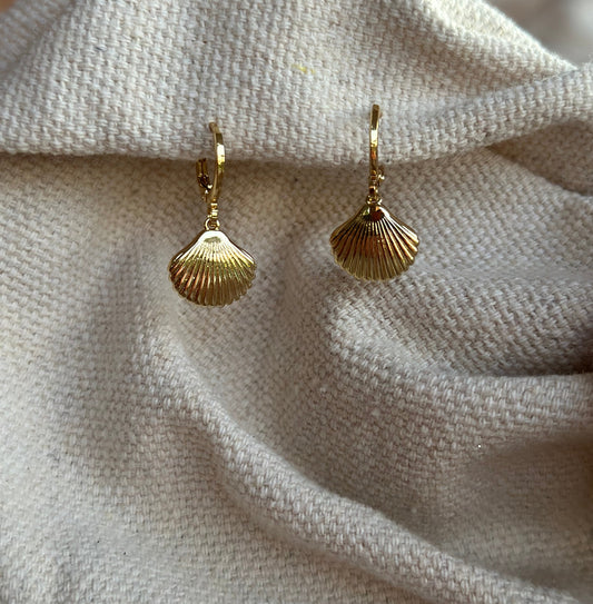 Gold Seashell Earrings