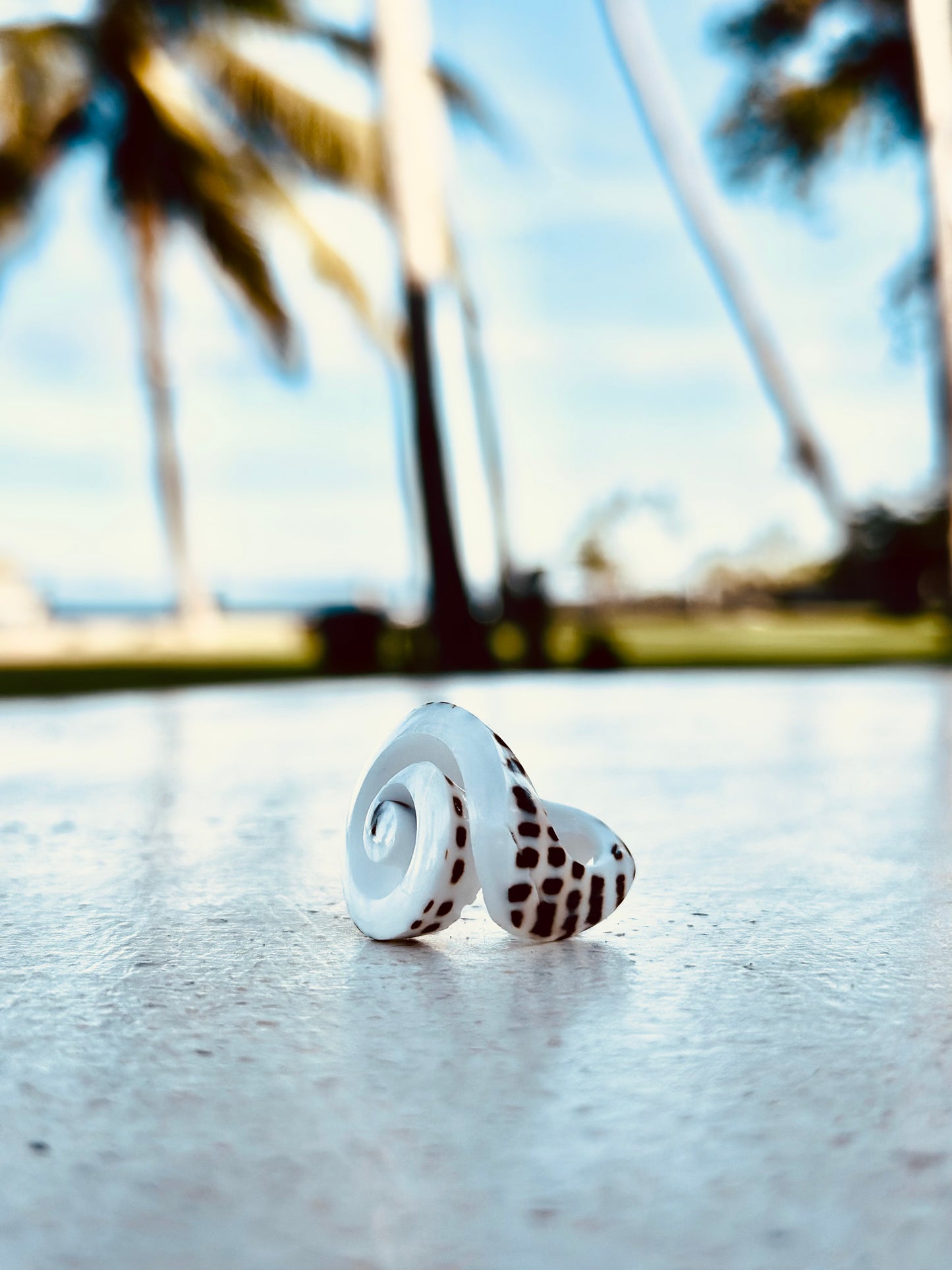 Shell ring