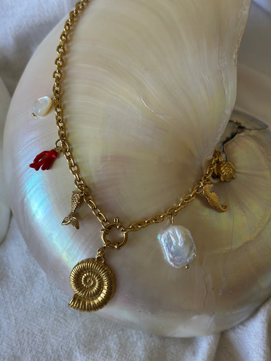 Nautilus charm chain