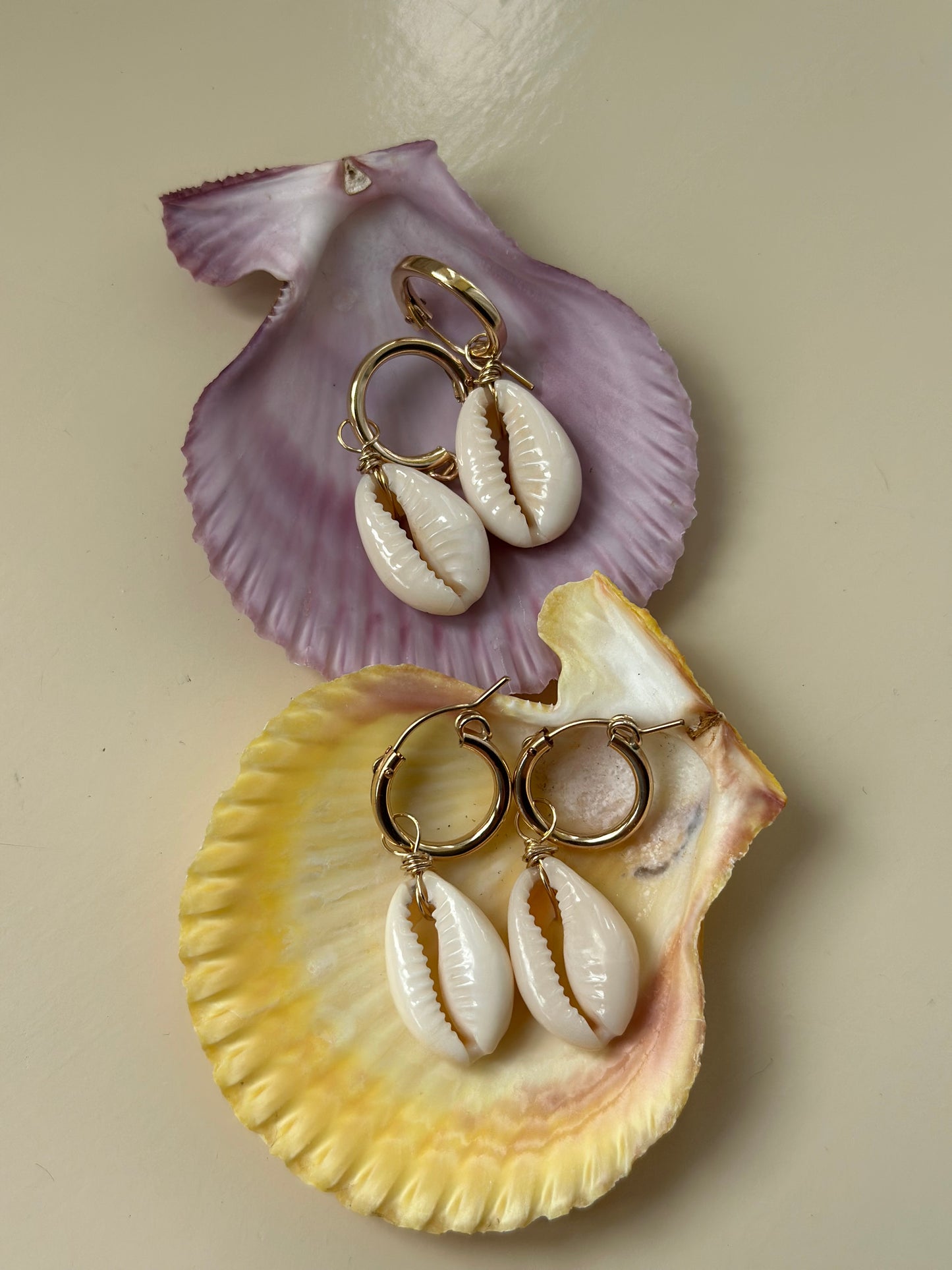 Cowrie Hoops