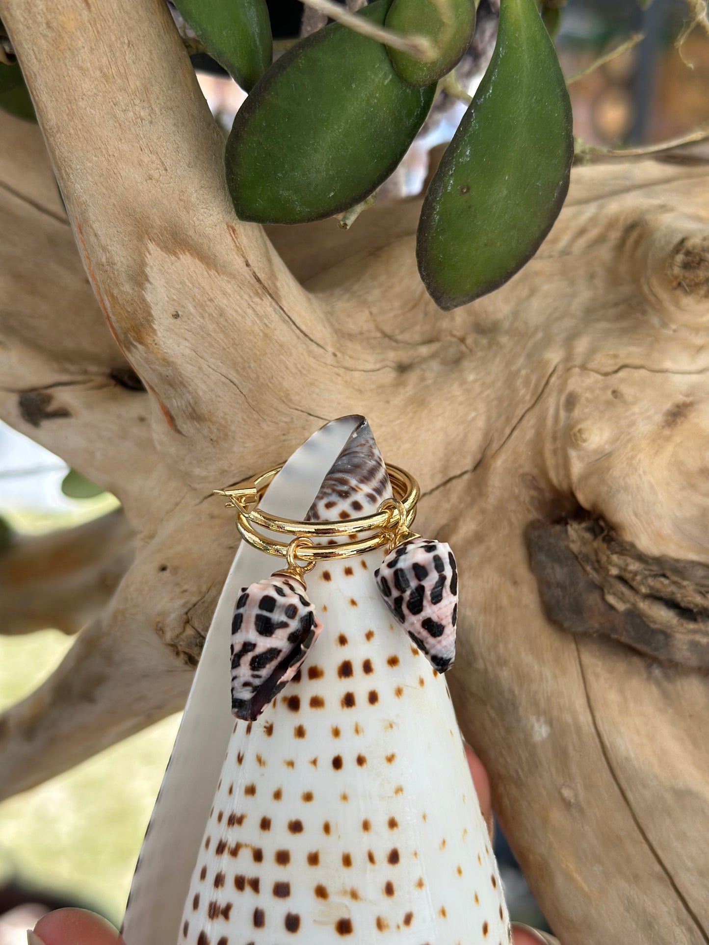 Cone shell earrings