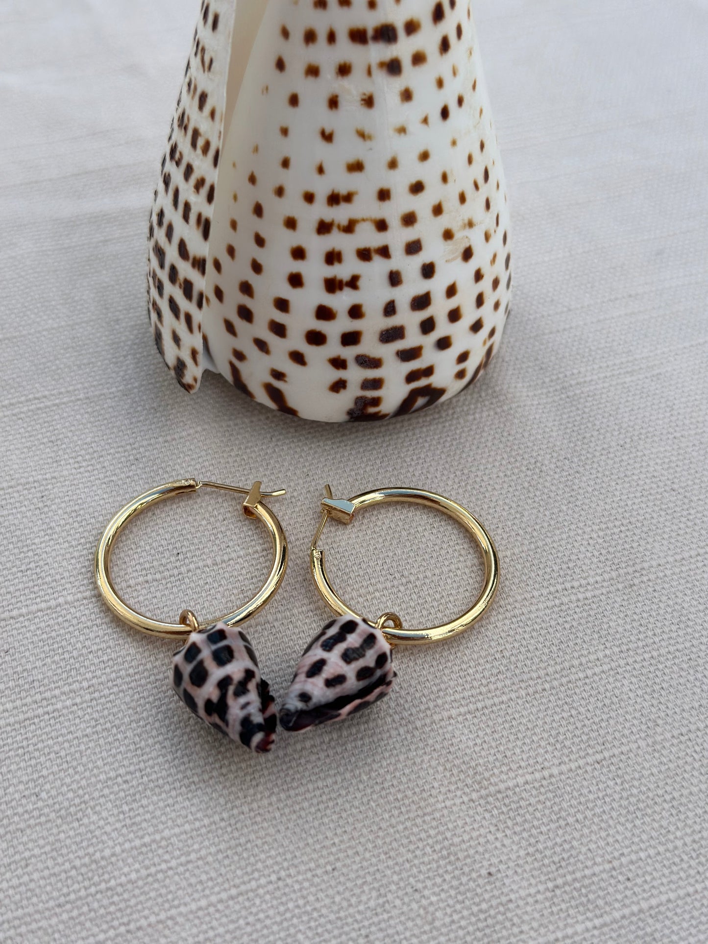 Cone shell earrings