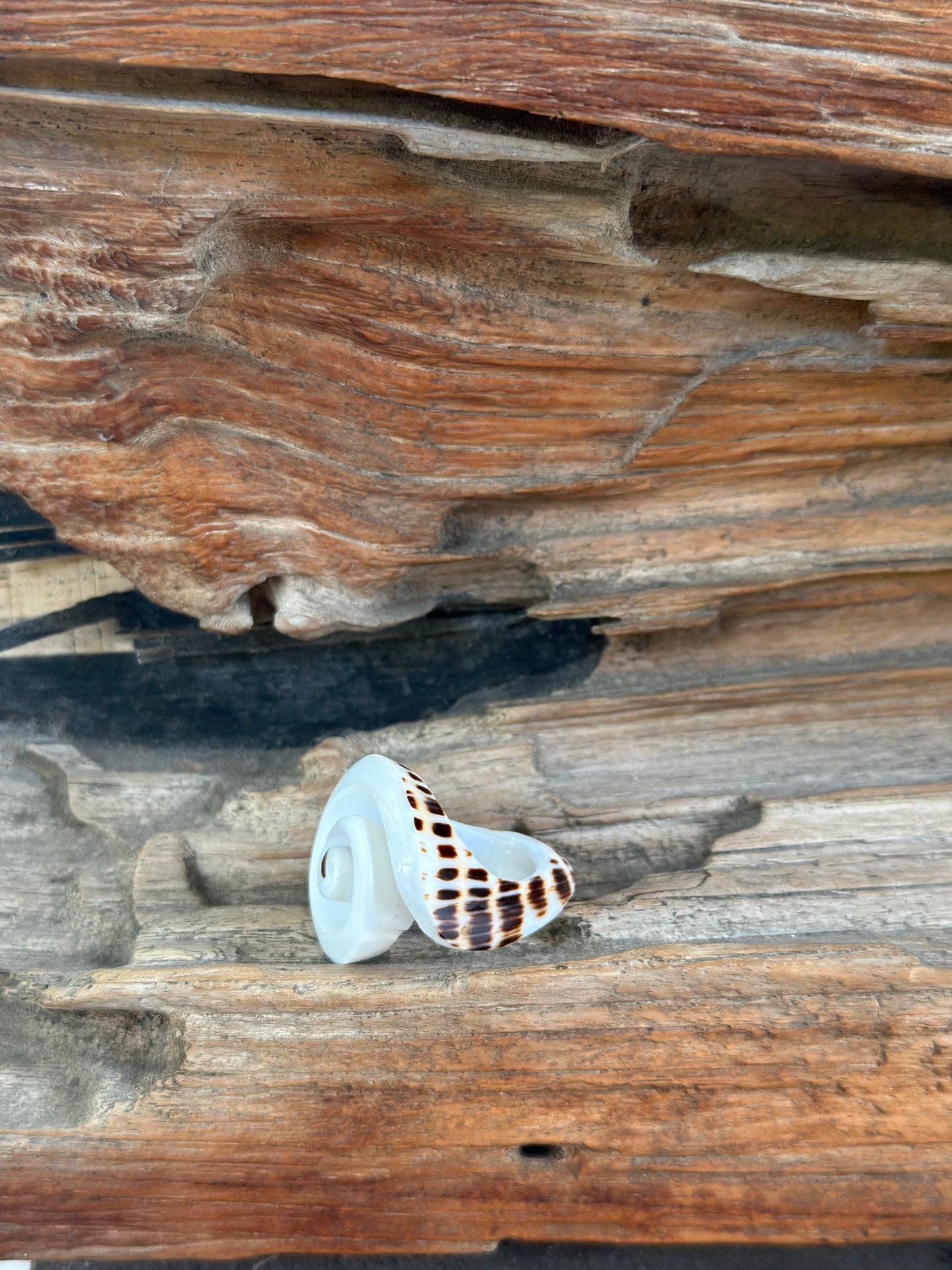 Shell ring