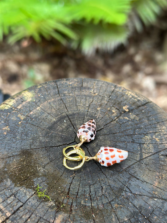 Cone shell earrings