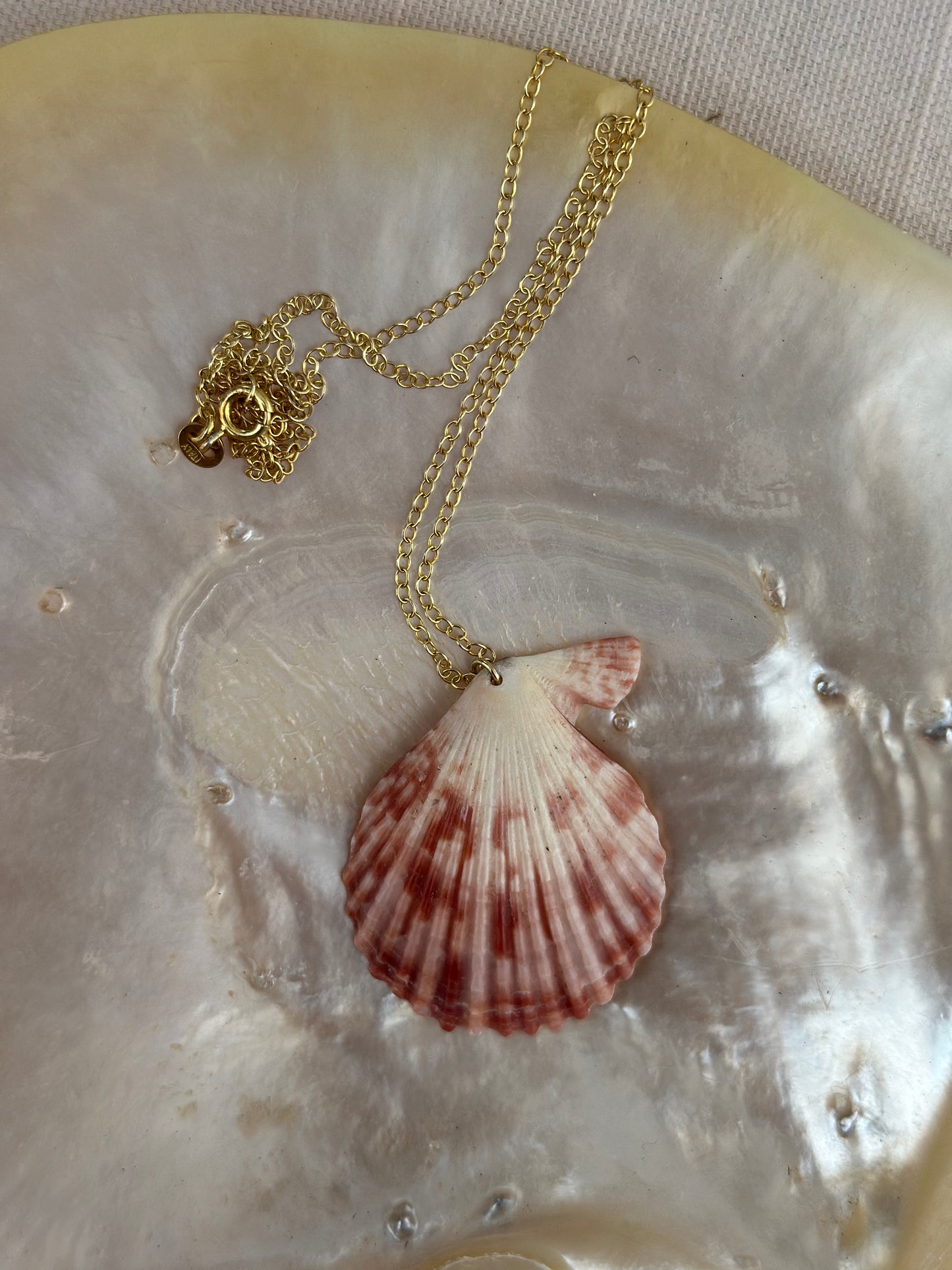 Sterling silver and shell necklace